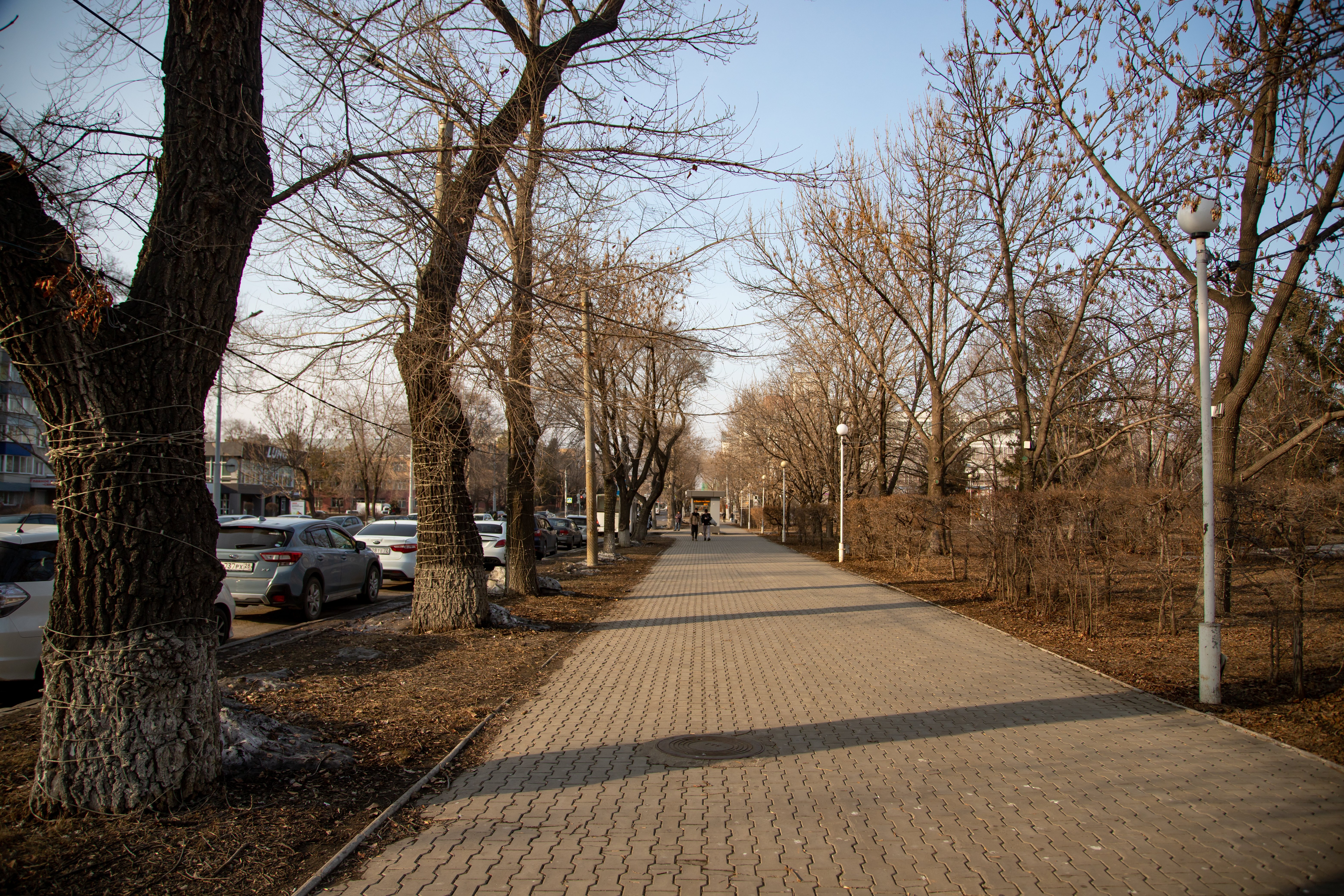 Прогноз погоды в Благовещенске на 8 апреля: 