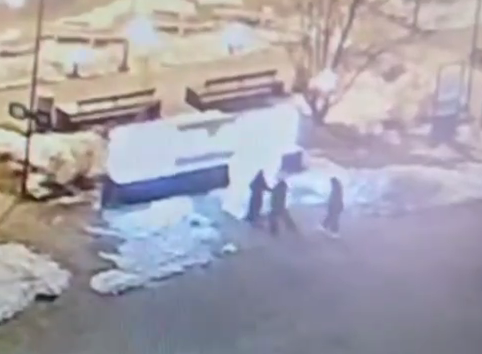 Ледяная фигура в сквере «Бабочка» стала жертвой «горе-каратистов»