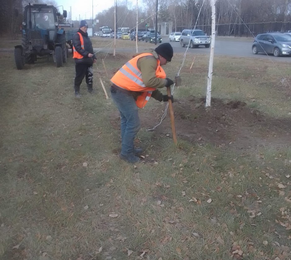 На Игнатьевском шоссе и Зеленой поселятся березы, ясень и осины