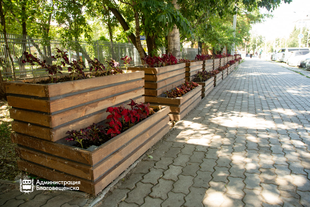 Прогноз погоды в Благовещенске на 18 августа: 