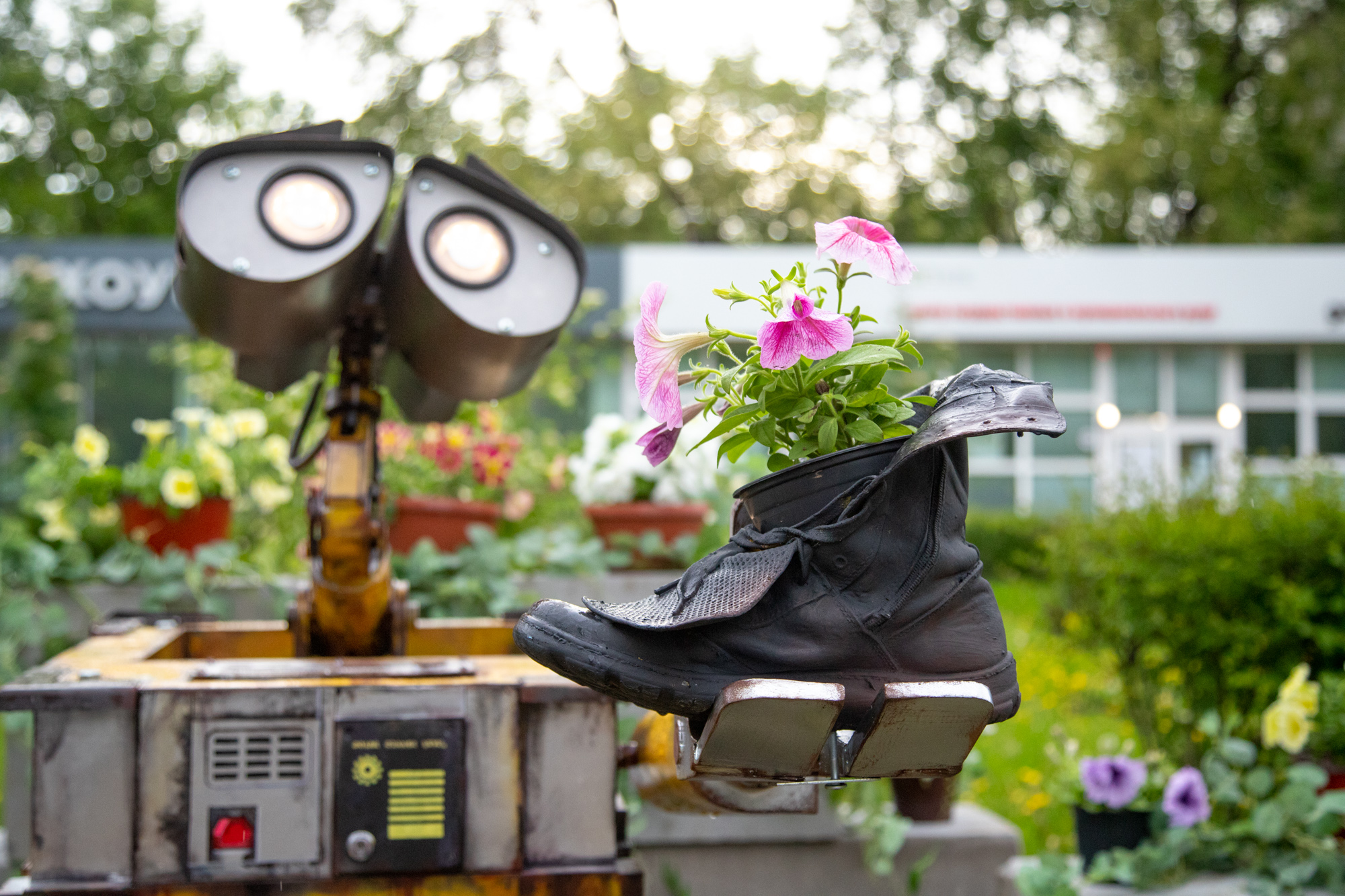 В Благовещенске снова развернется масштабный фестиваль цветов 