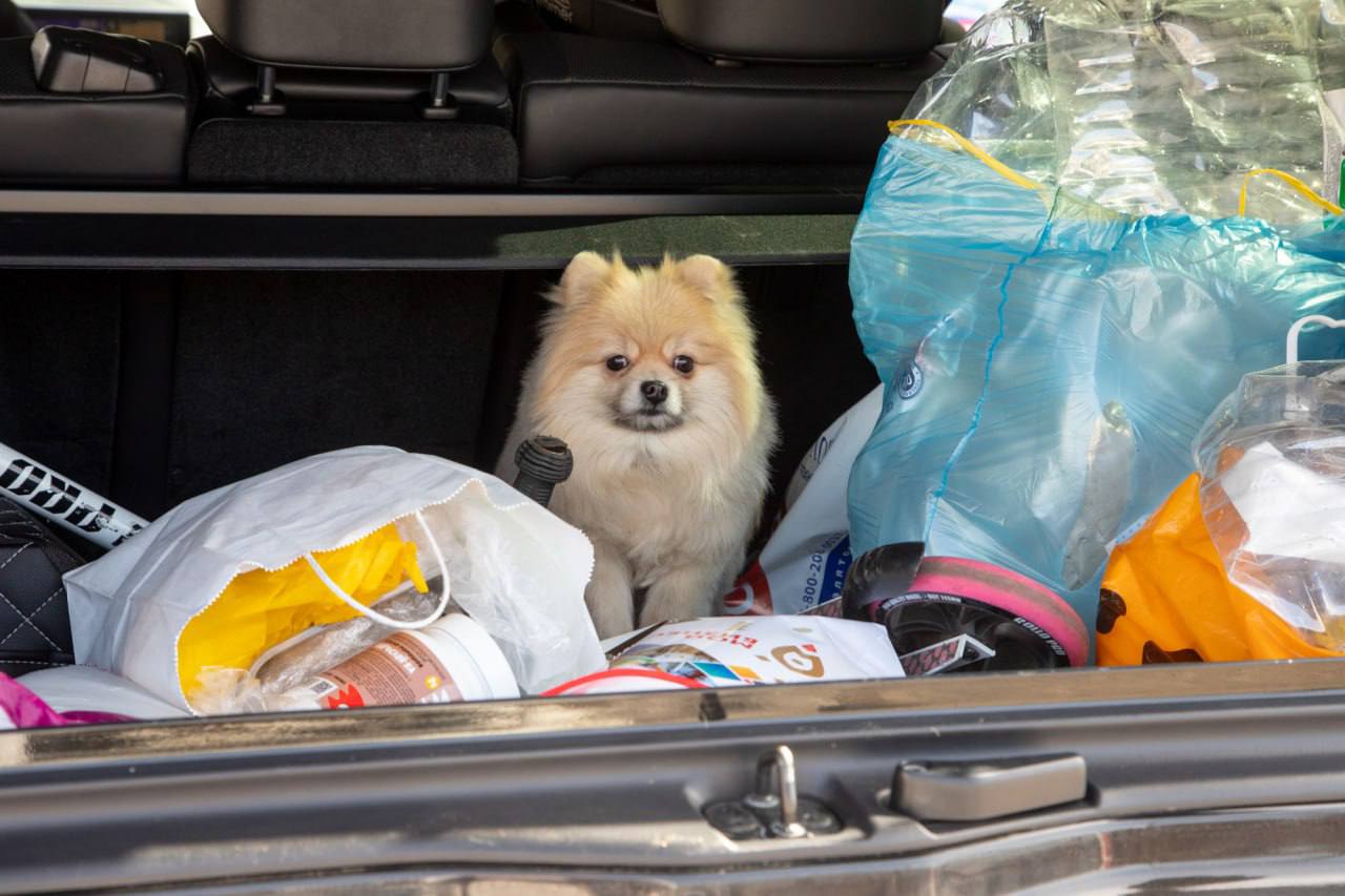 Благовещенцам предлагают поучаствовать в ежемесячной акции «РазДельный сбор отходов»