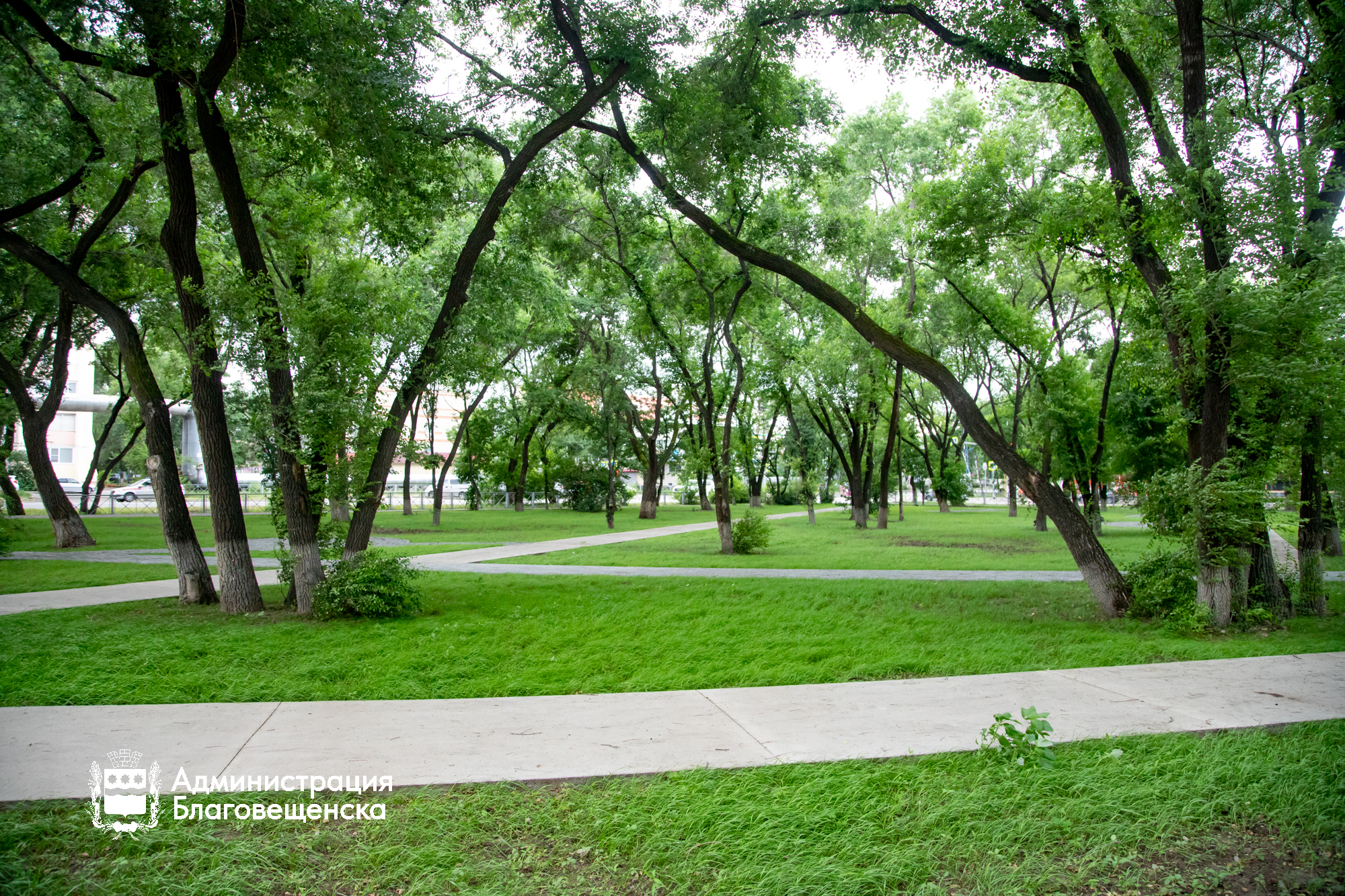 Прогноз погоды в Благовещенске на 19 августа: 