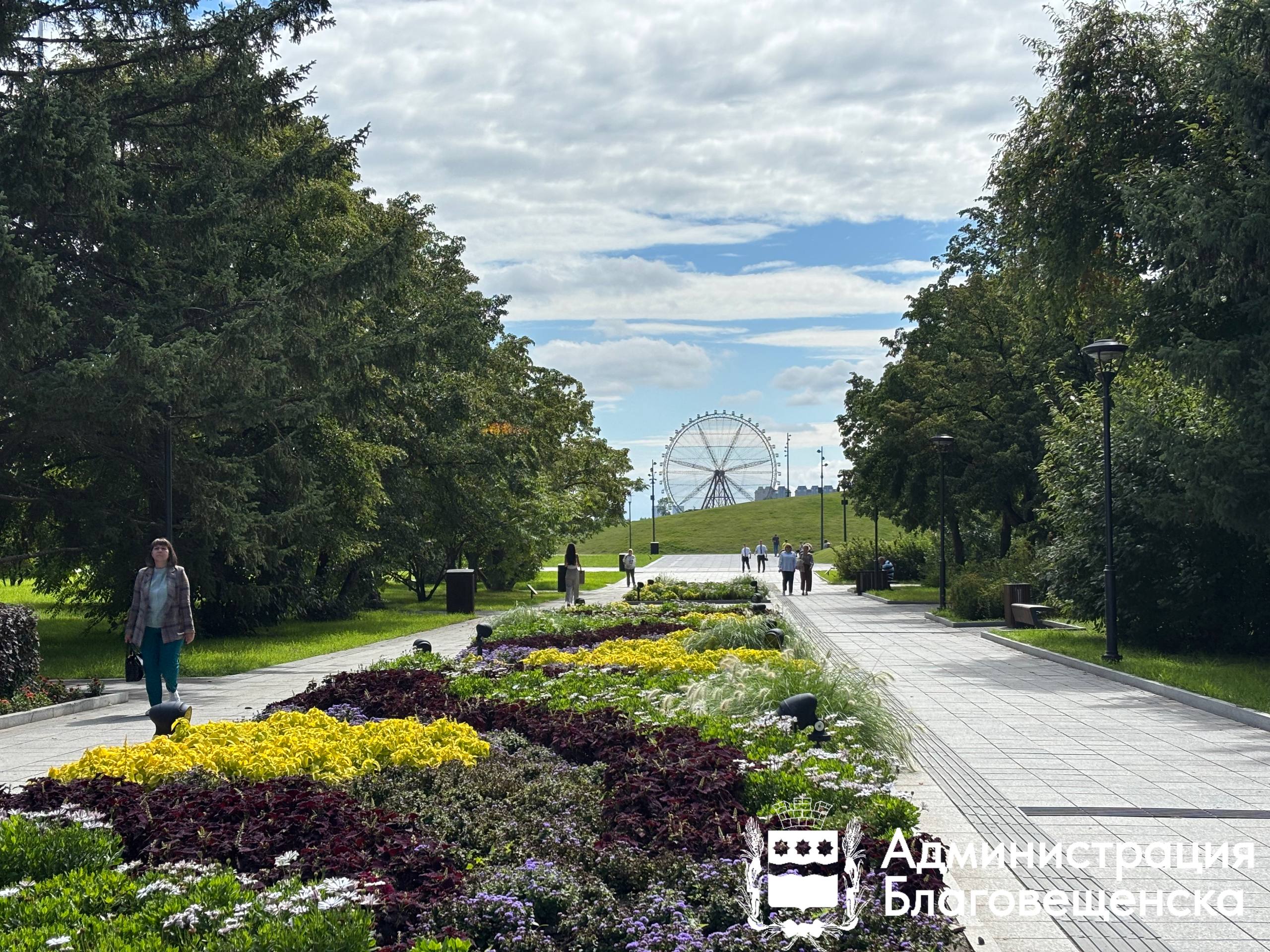 Прогноз погоды в Благовещенске на 21 августа: 