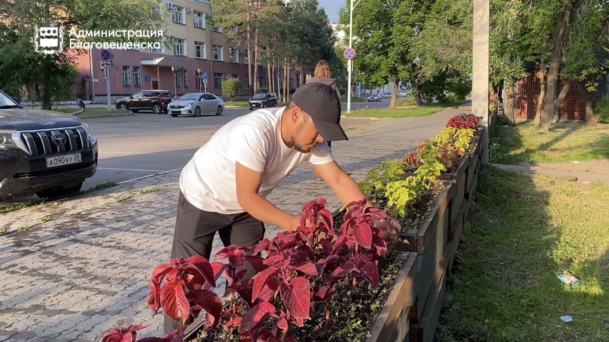 Оазис посреди городской суеты: предприниматель украшает территорию возле своего павильона
