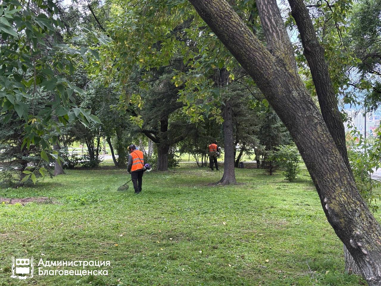 Скверы и магистрали: где в Благовещенске на прошлой неделе косили траву?