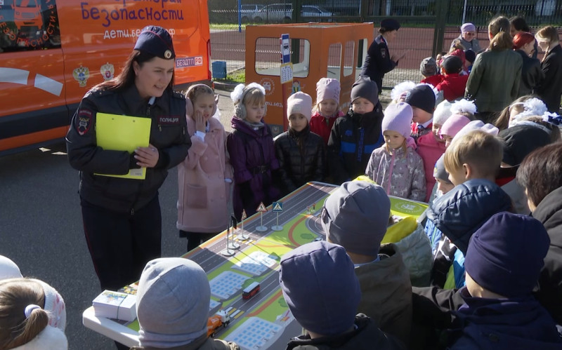 Госавтоинспекция Благовещенска проверит пешеходов на знание ПДД 