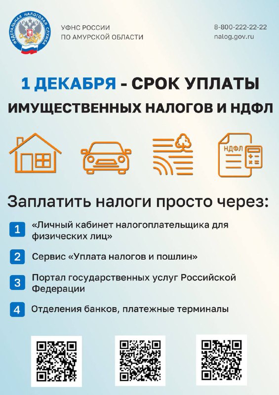 У благовещенцев осталось 3 дня, чтобы закрыть налоговый вопрос