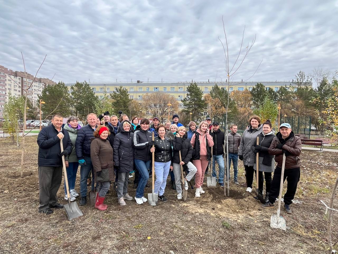 86 метров живой изгороди высадили в сквере на Зеленой, 30 в Благовещенске