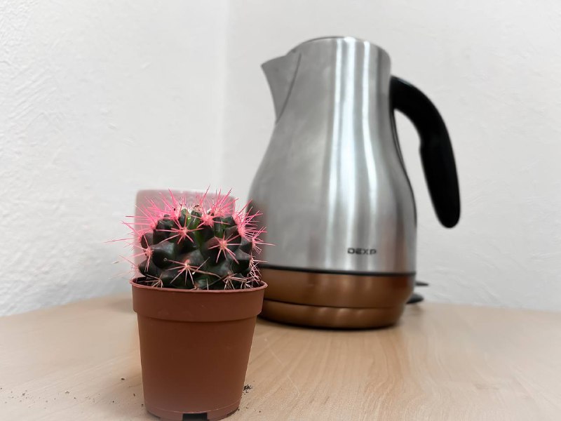 Благовещенцев проконсультировали по вопросам не гарантийного (платного) ремонта бытовой техники 