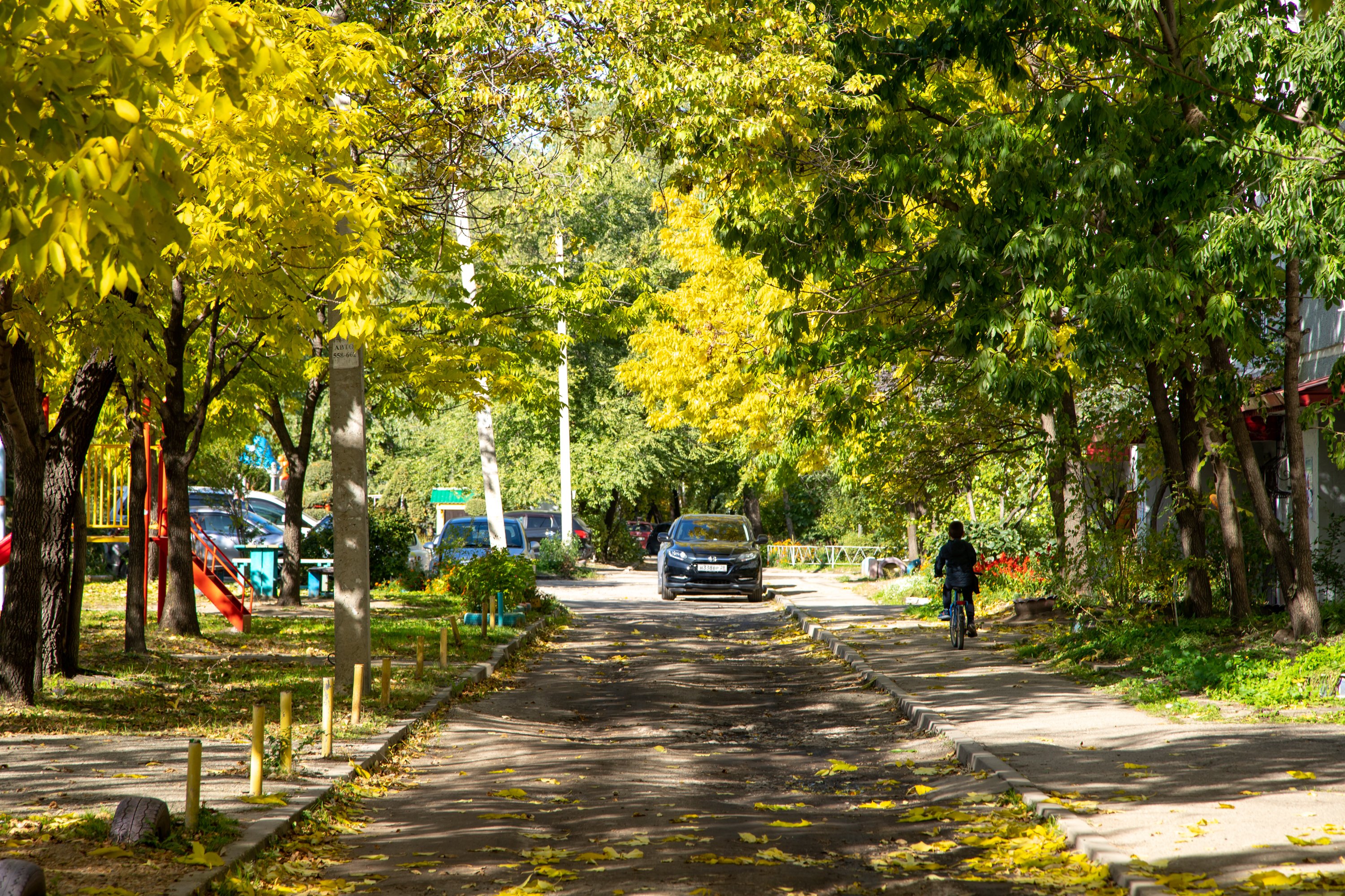 Порывистый ветер снова ожидается в Благовещенске 