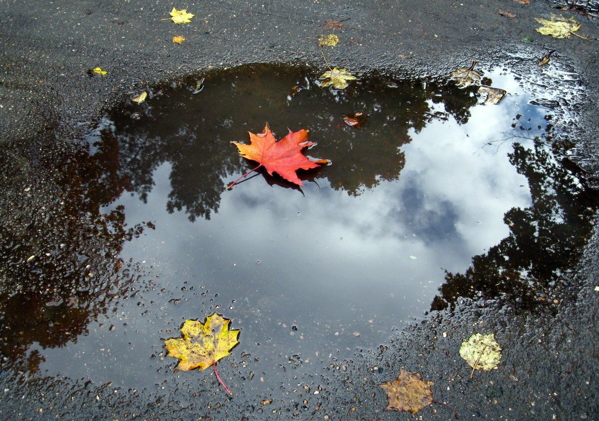  Амурские синоптики прогнозируют осадки
