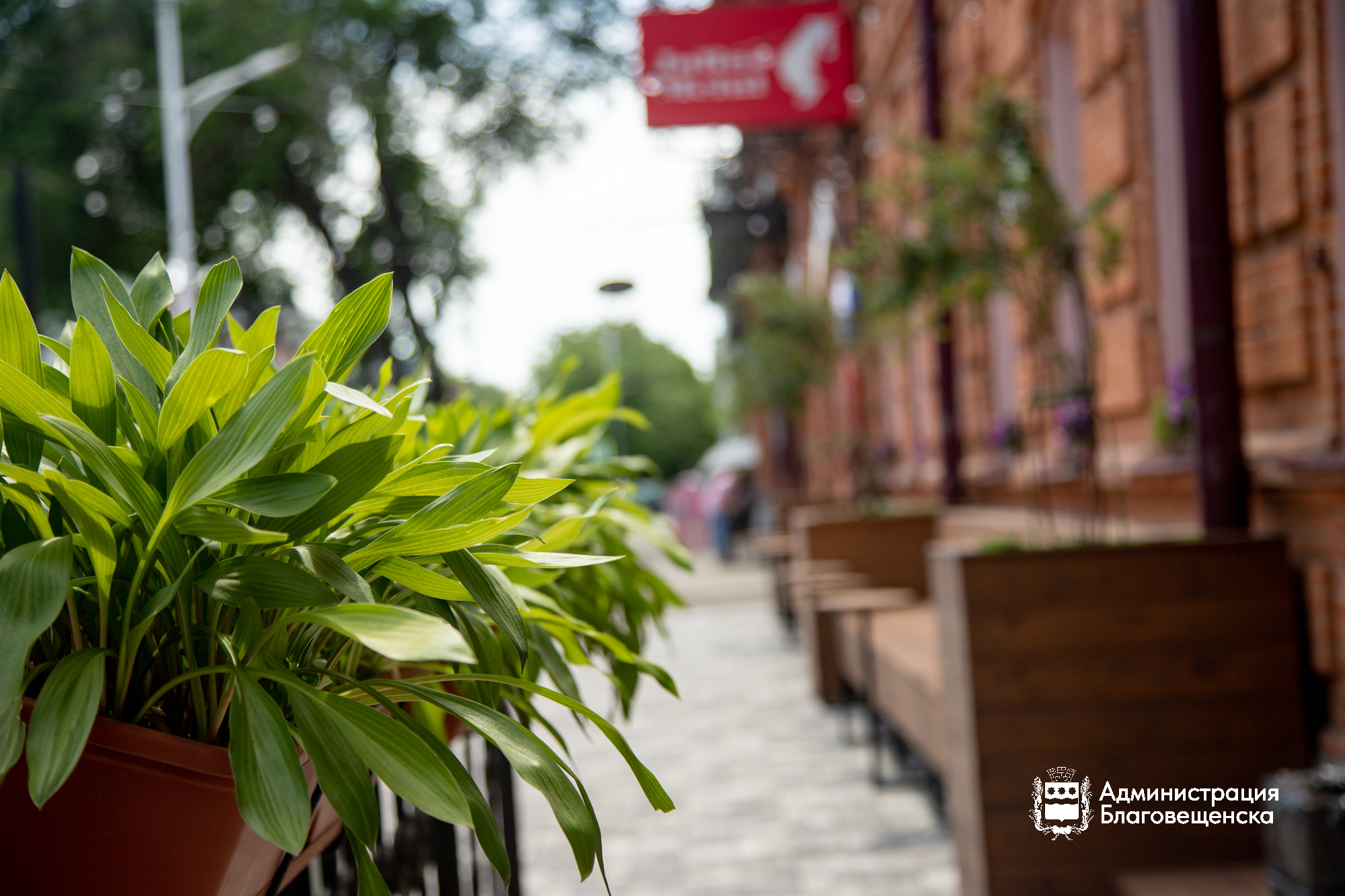 Прогноз погоды в Благовещенске на 12 августа: 