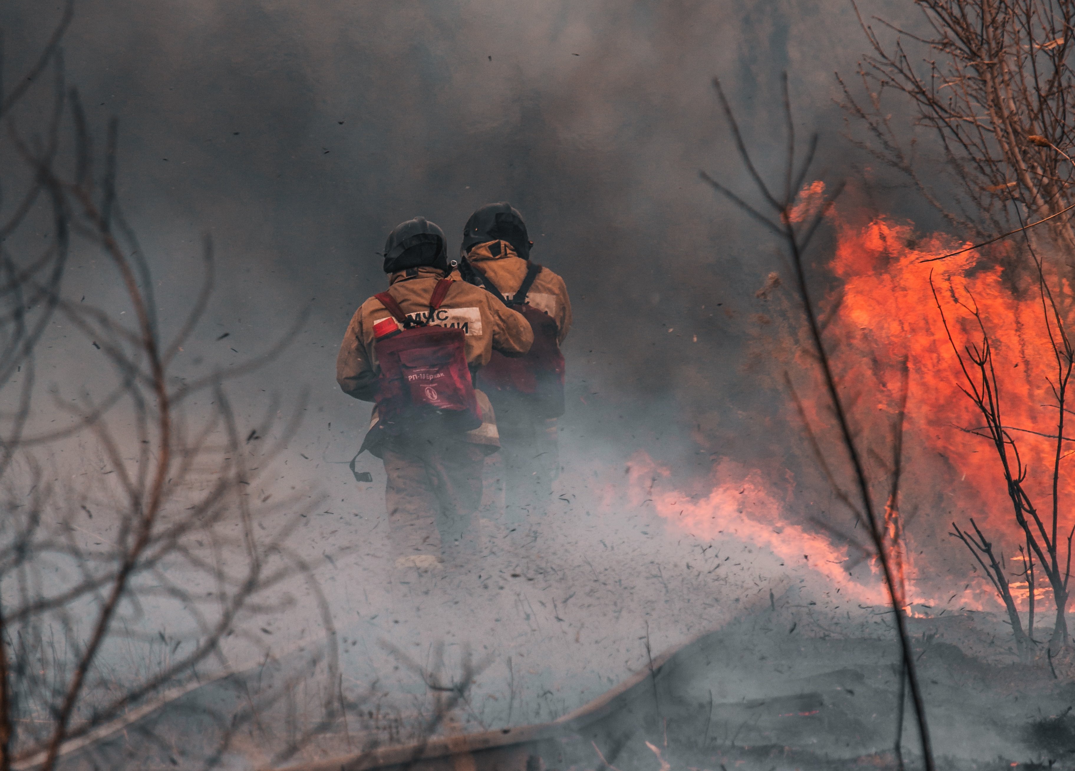 В Приамурье ввели режим ЧС из-за лесных пожаров
