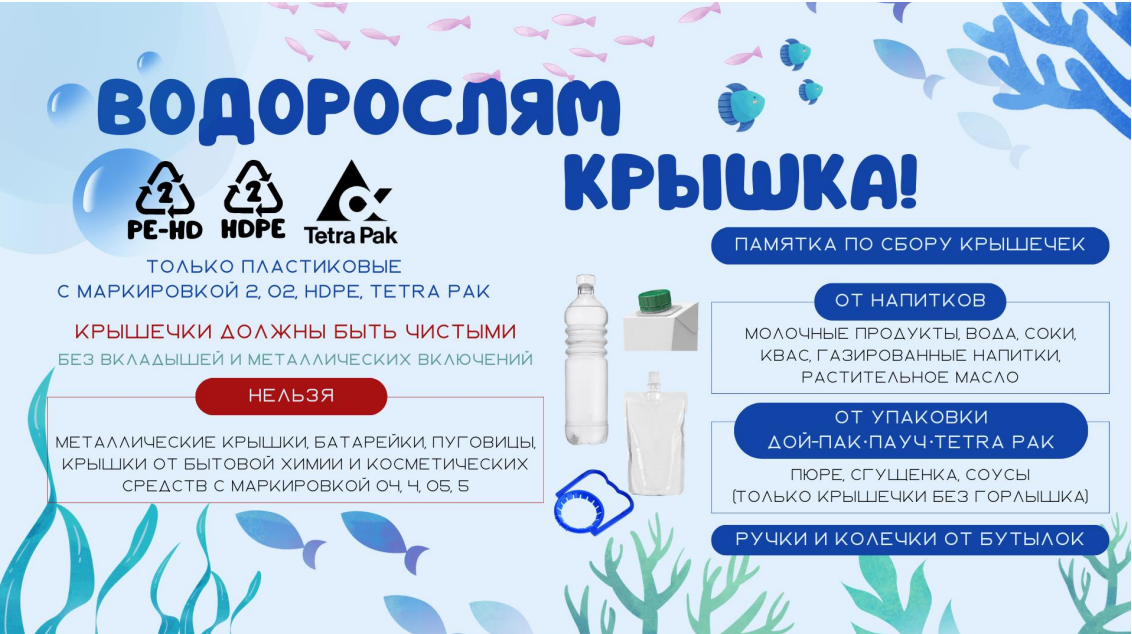 Как из пластиковой крышки получить живую рыбу? Рассказываем