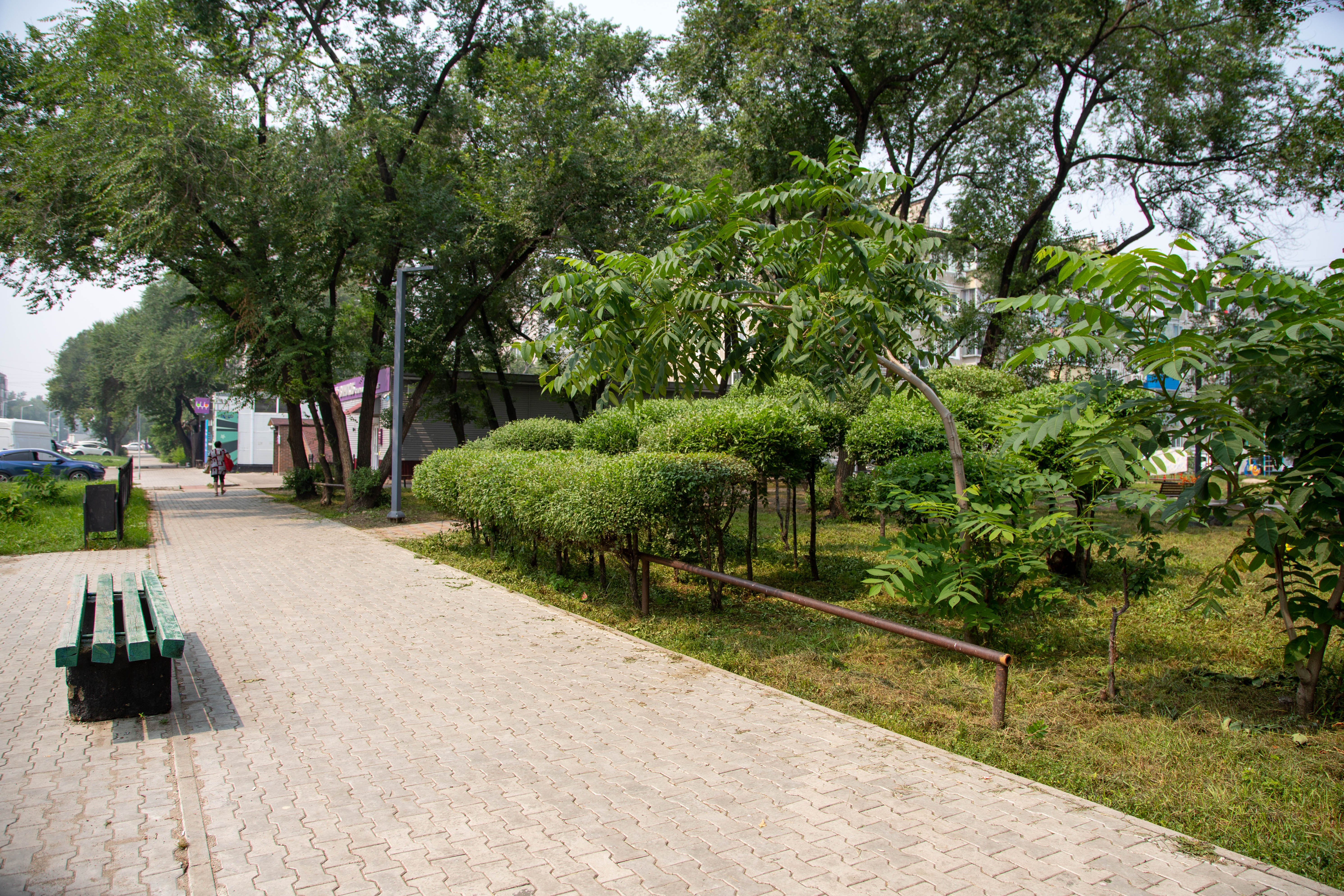 Прогноз погоды в Благовещенске на 20 мая: