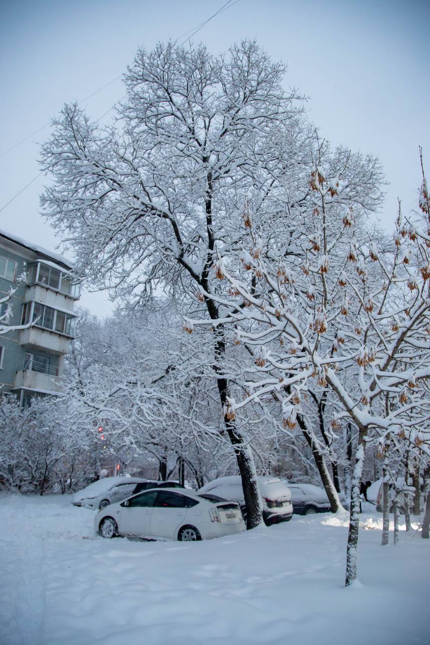 Сколько осадков выпало на Благовещенск?
