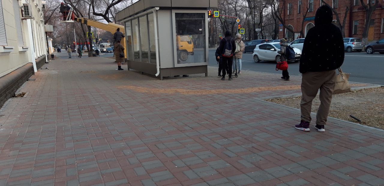 В Благовещенске неизвестный рассыпал зерно в центре города 