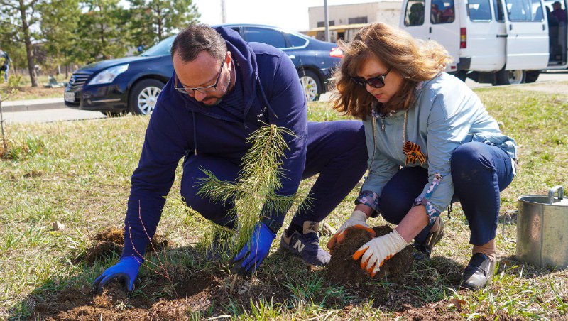 В Благовещенске депутаты ЗакСобрания высадили сосны, а сотрудники областного правительства почистили берег Бурхановки
