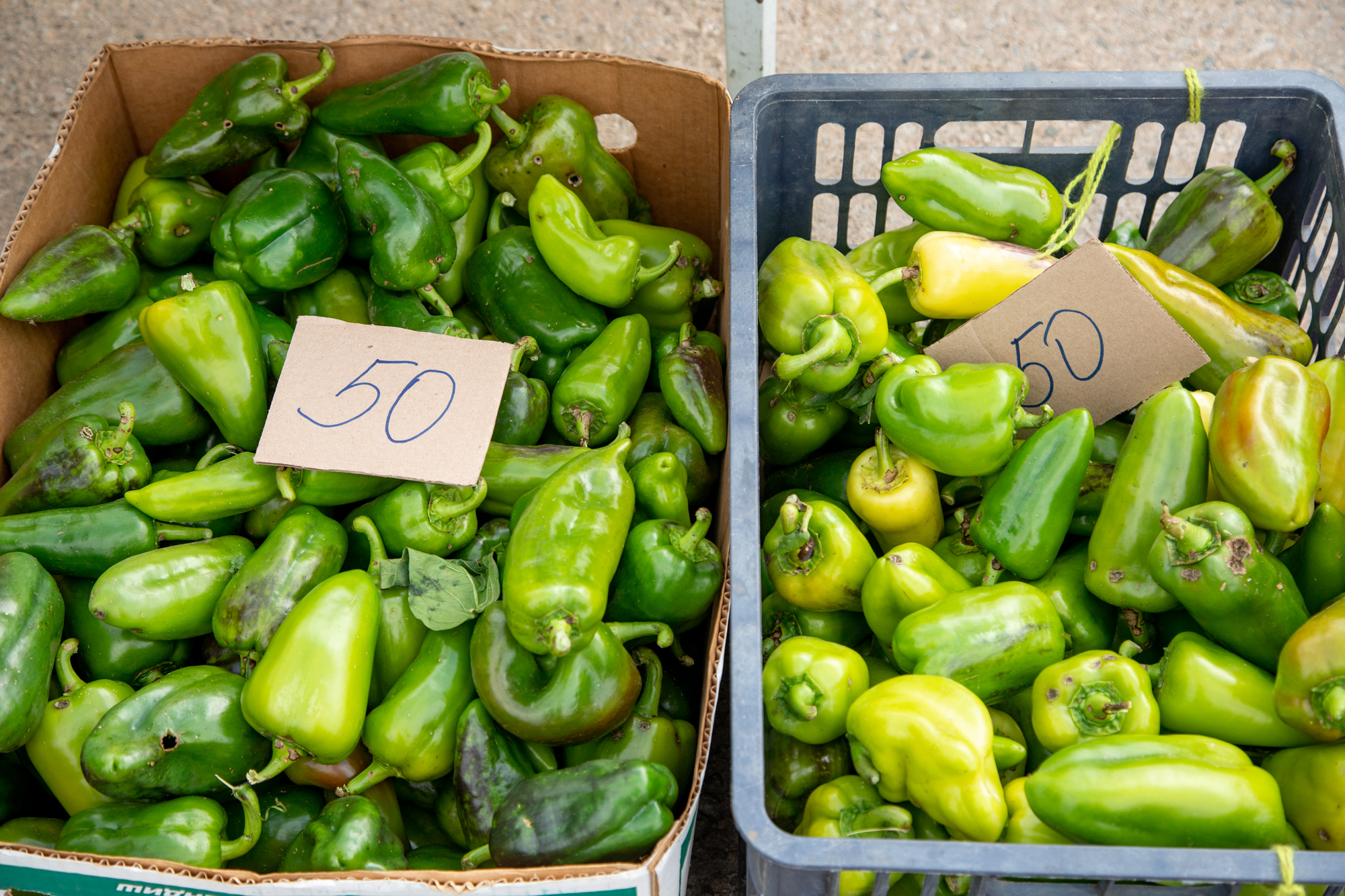 Благовещенцев оштрафовали за незаконную торговлю на сумму больше 2 миллионов рублей 