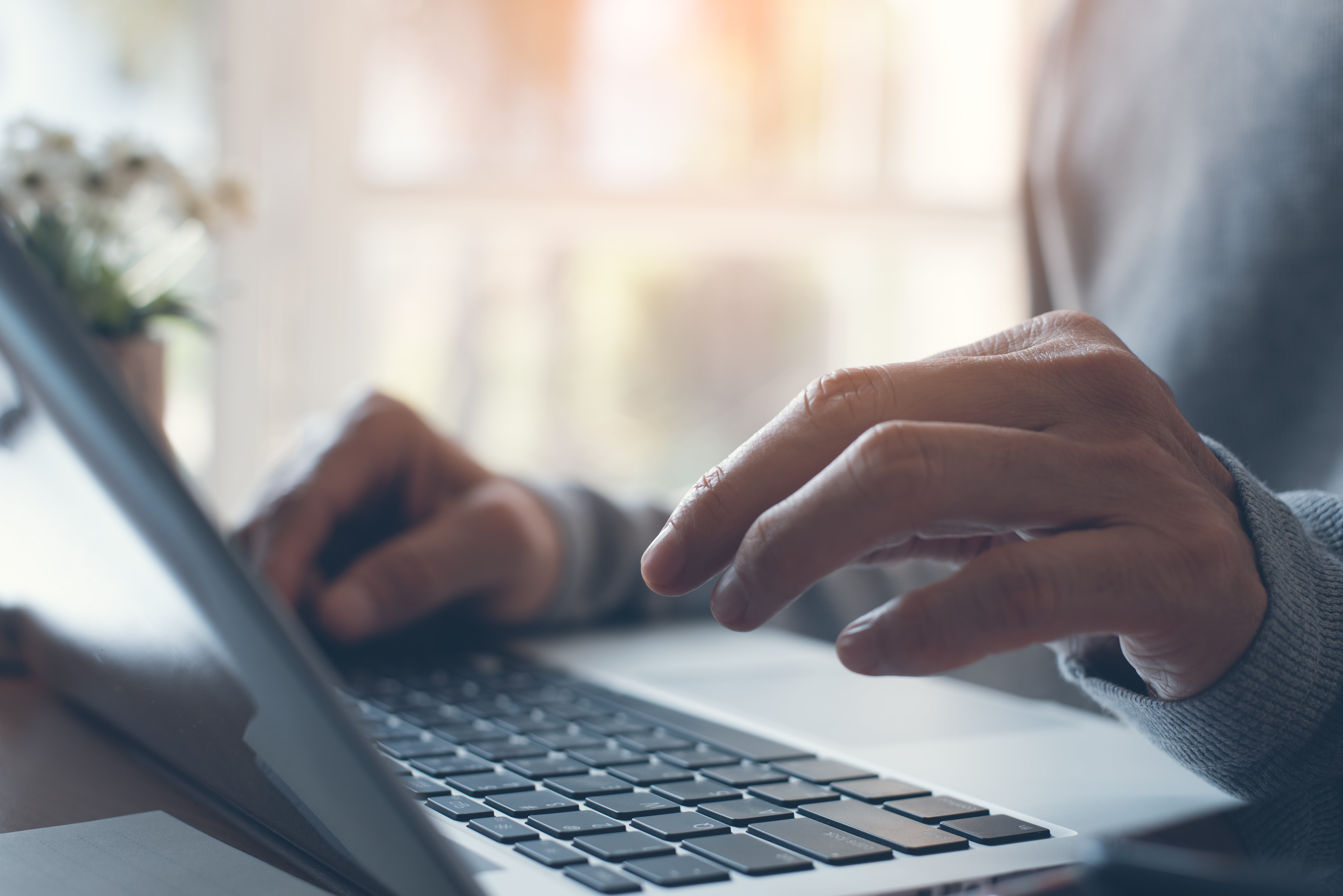 Все больше услуг можно получить через портал «Госуслуги»