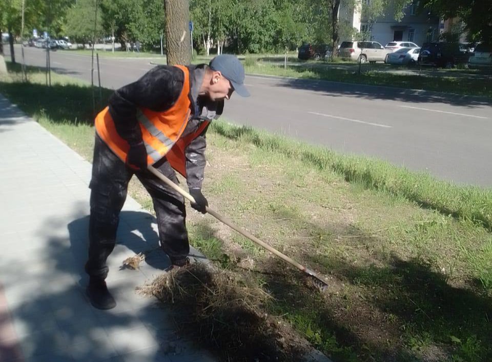 Коммунальщики озеленяют амурскую столицу