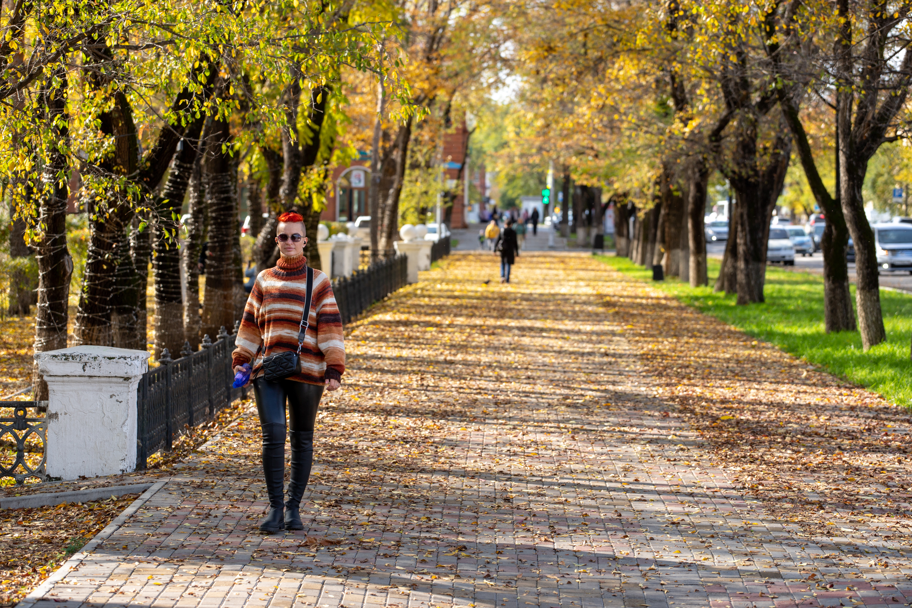 Сильный ветер снова прогнозируют синоптики в Благовещенске