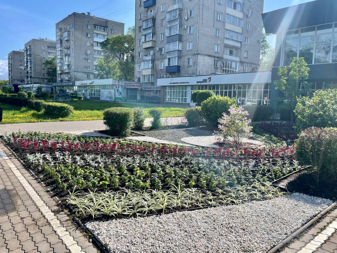 Благовещенск готовится расцвести вновь: участники фестиваля цветов разбивают свои клумбы