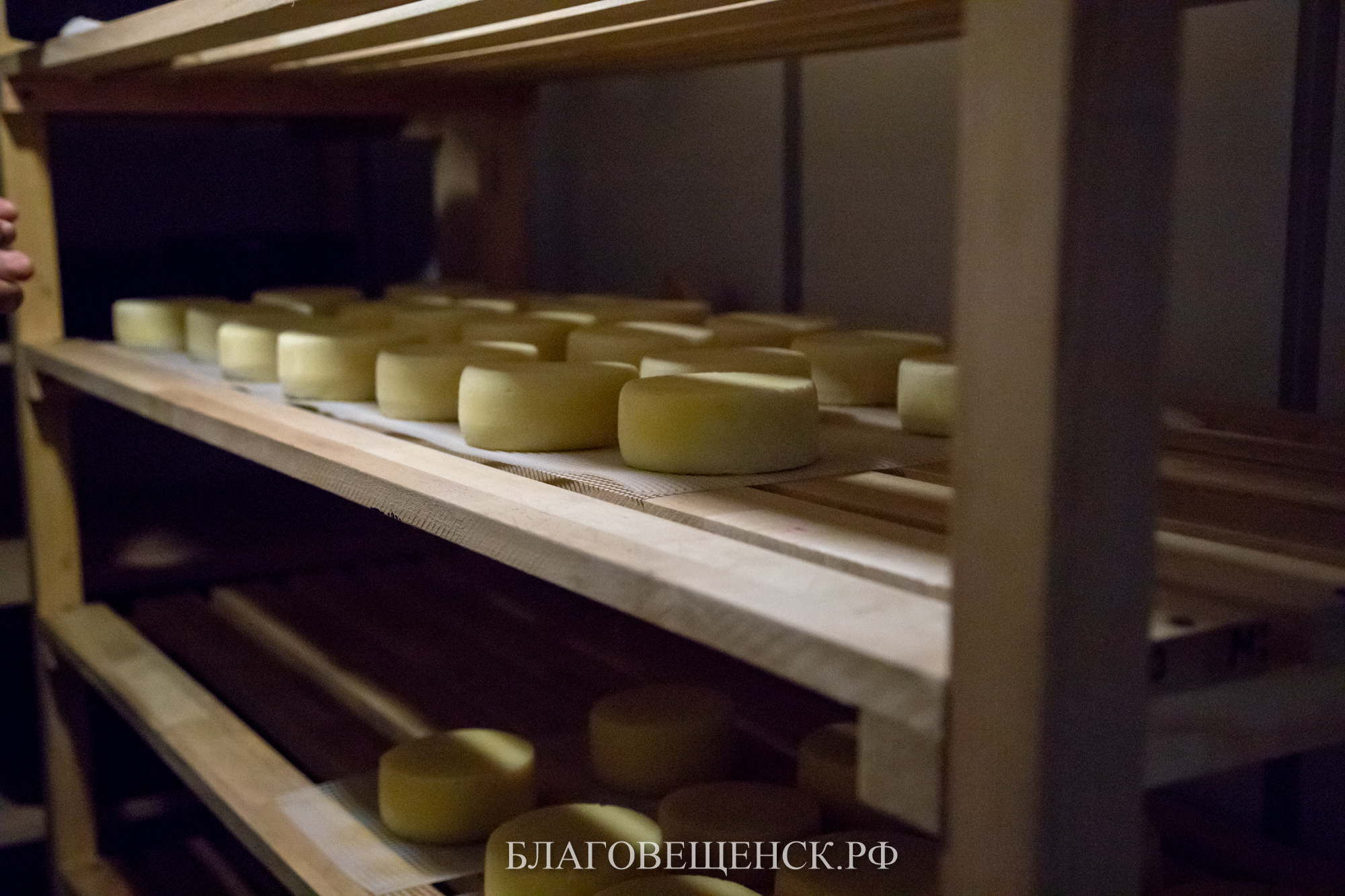 Благовещенские предприниматели могут получить премию Правительства РФ в области качества