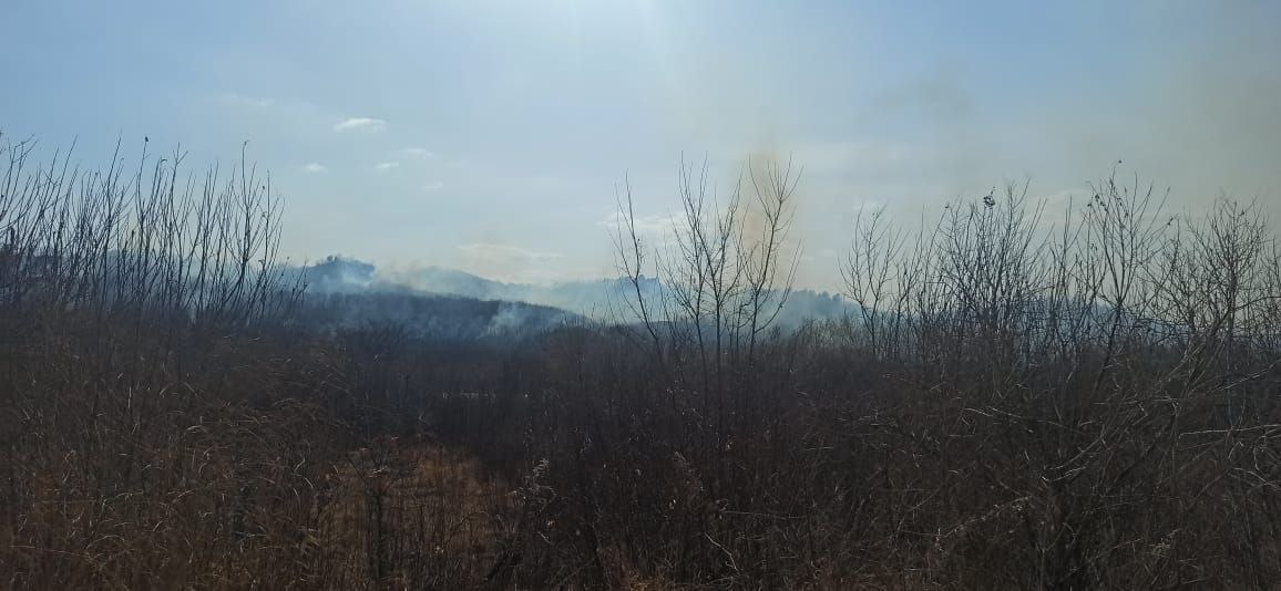 Более десяти возгораний и один лесной пожар потушили за неделю в Благовещенске