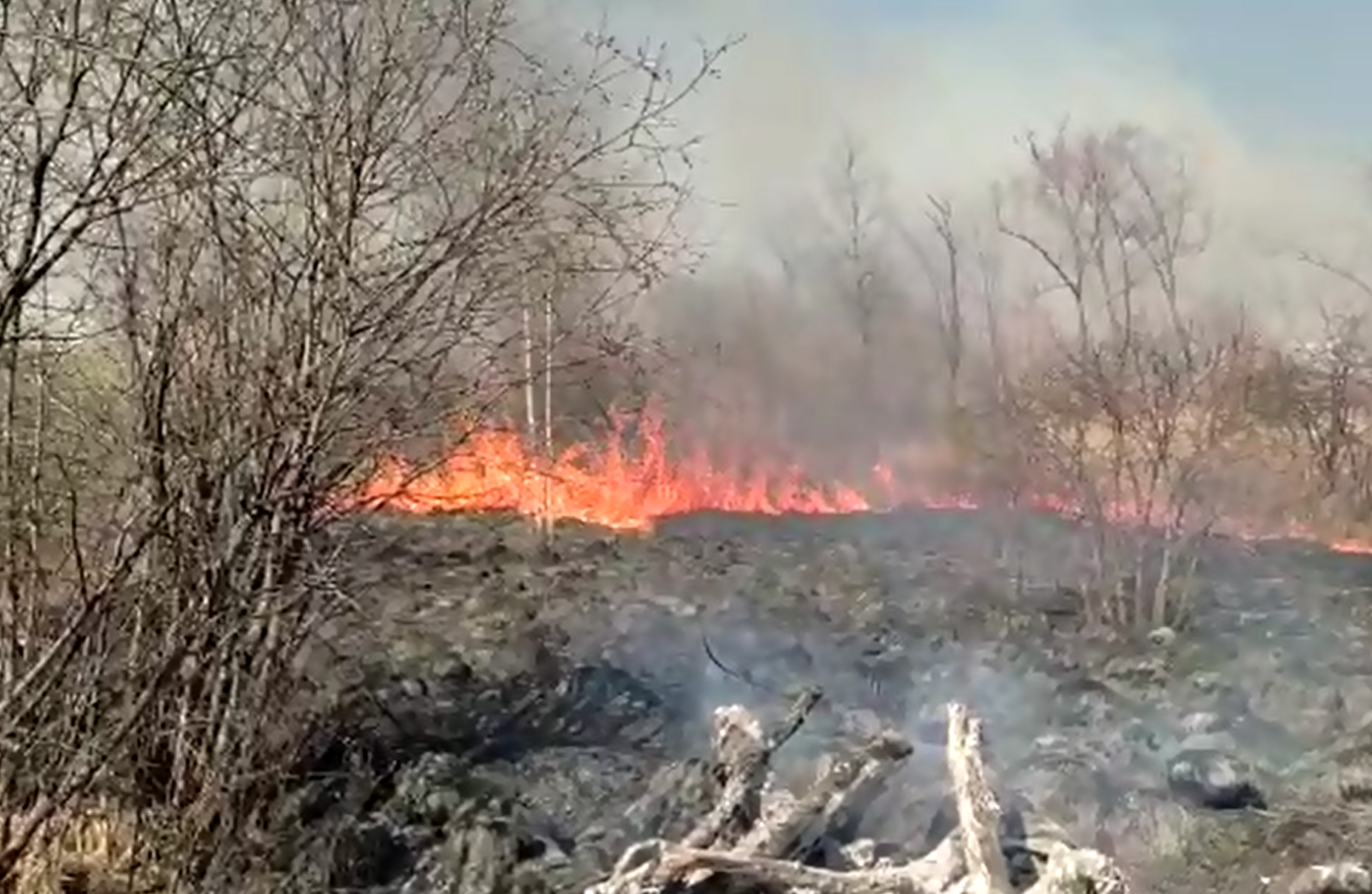 Благовещенцам в преддверии пожароопасного периода напоминают о правилах безопасности