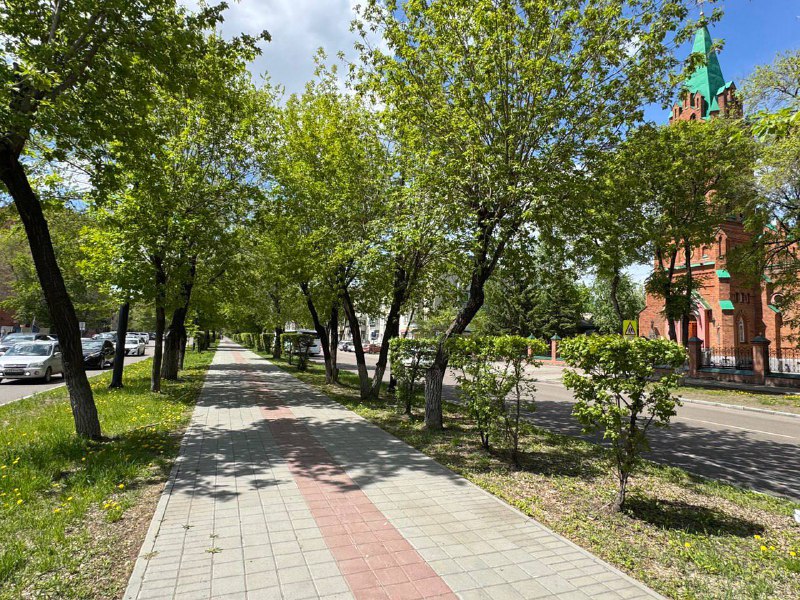 Олег Имамеев призвал жителей соблюдать правила безопасности в аномальную жару 