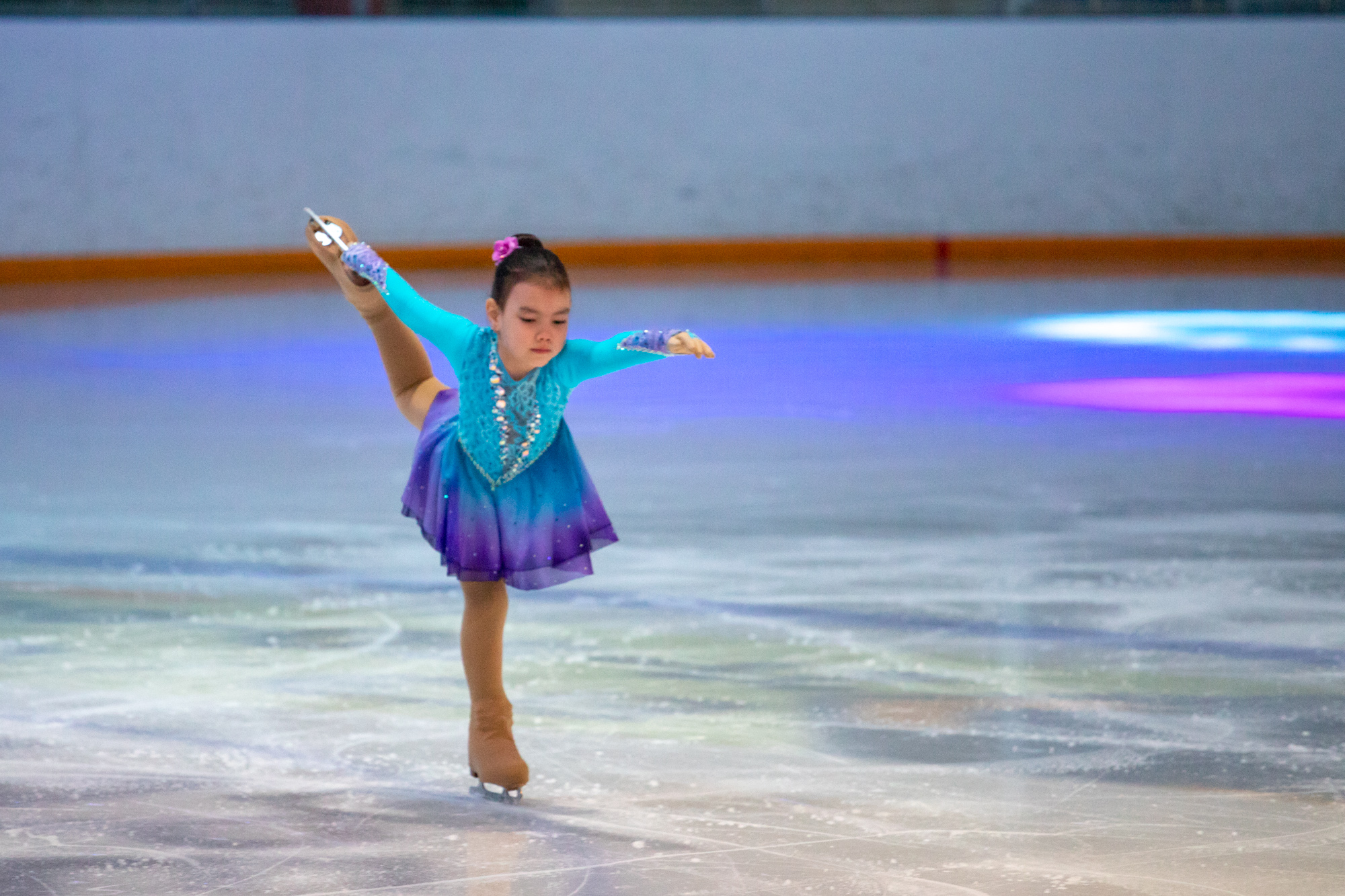 День народного единства в Благовещенске отметят концертом фигуристов, выставками и акциями 