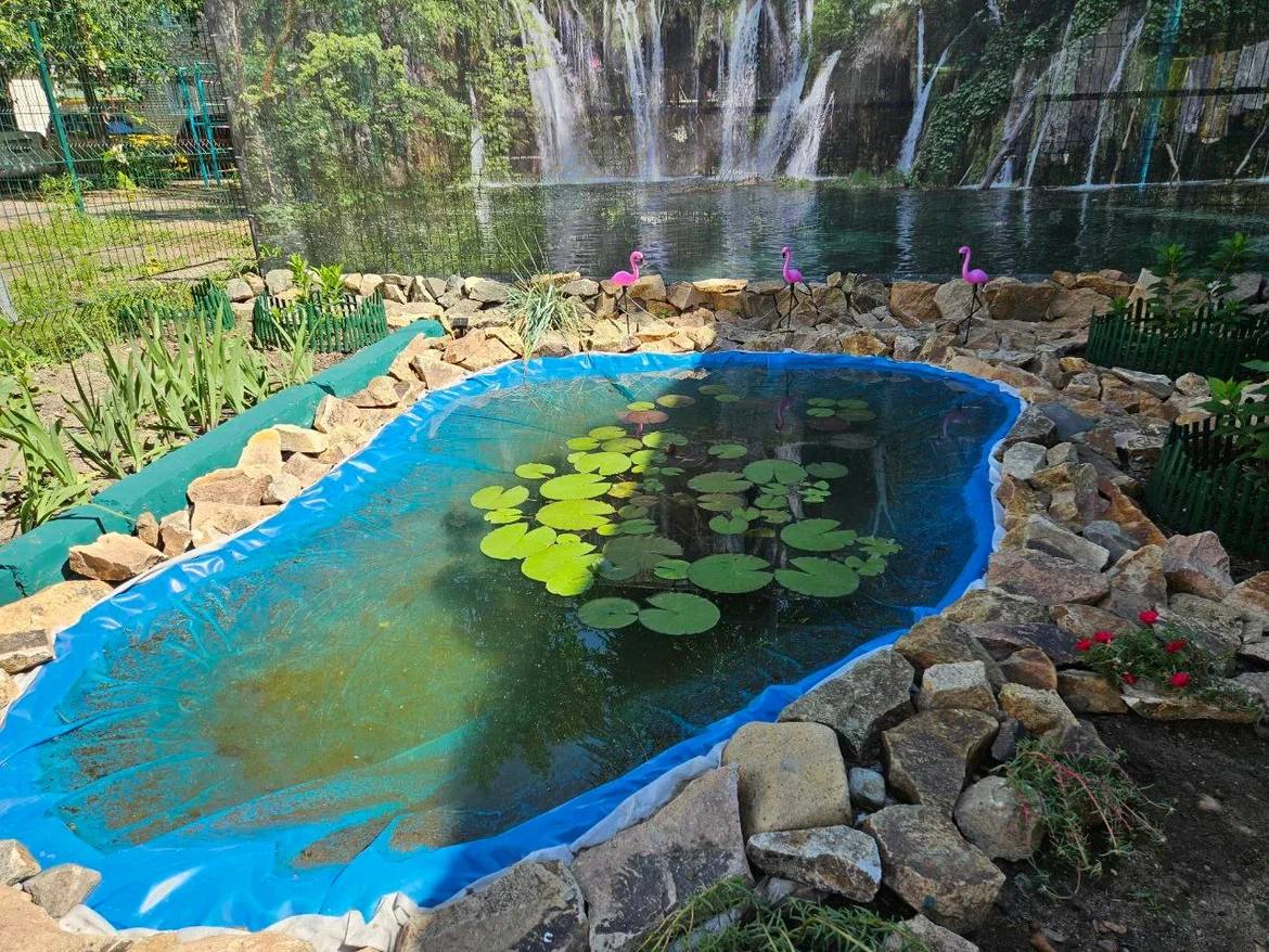 Пруд с нимфеями и цветочные записки: жители амурской столицы создают природные произведения искусства на придомовых территориях