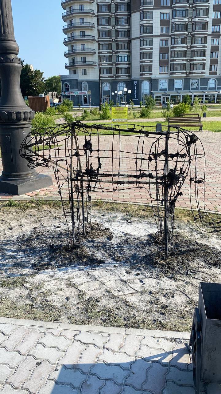 До трех месяцев ареста грозит благовещенцу, причастному к поджогу тигра на детской площадке 