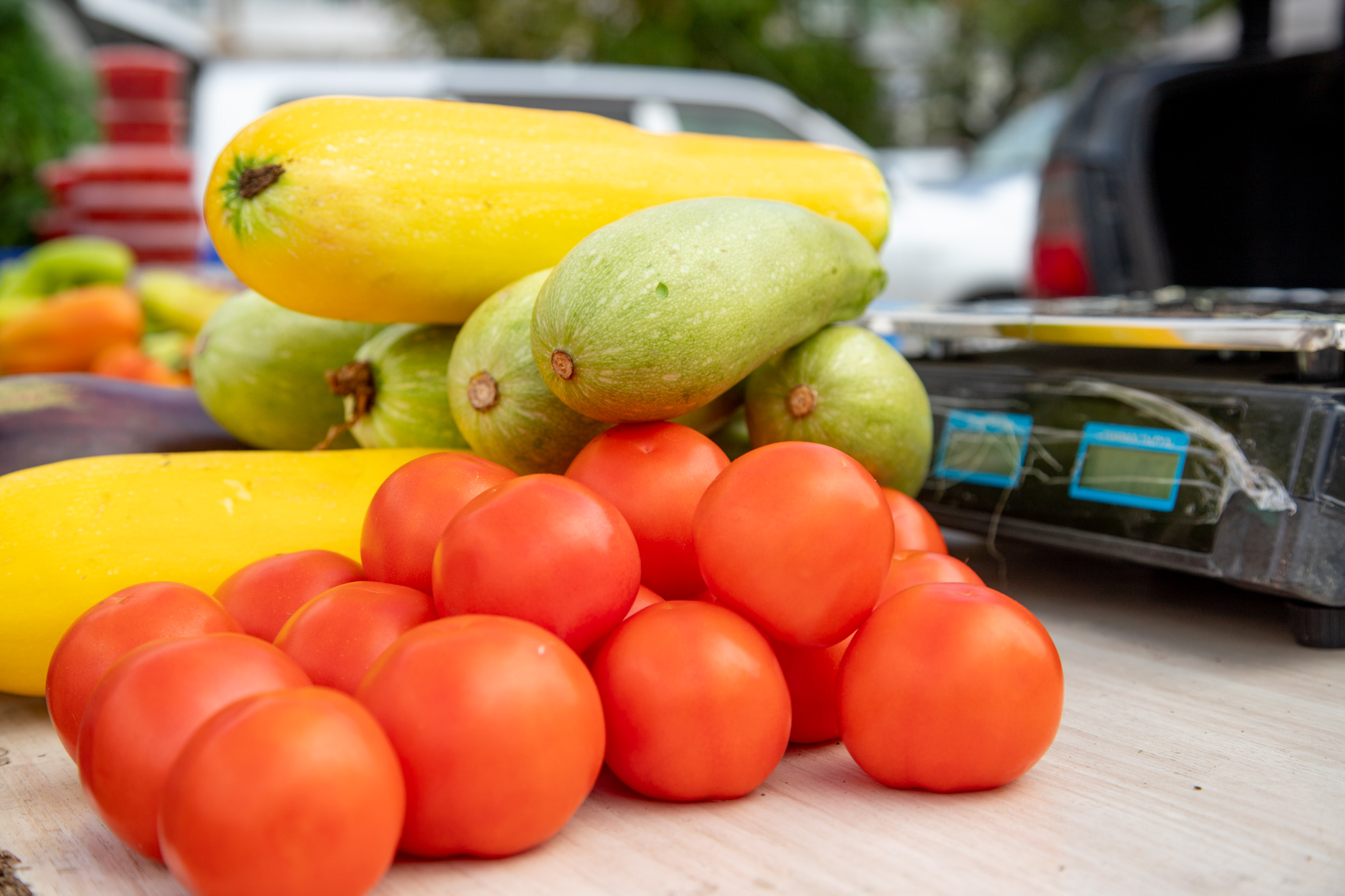 Благовещенским садоводам предлагают купить земельный участок 
