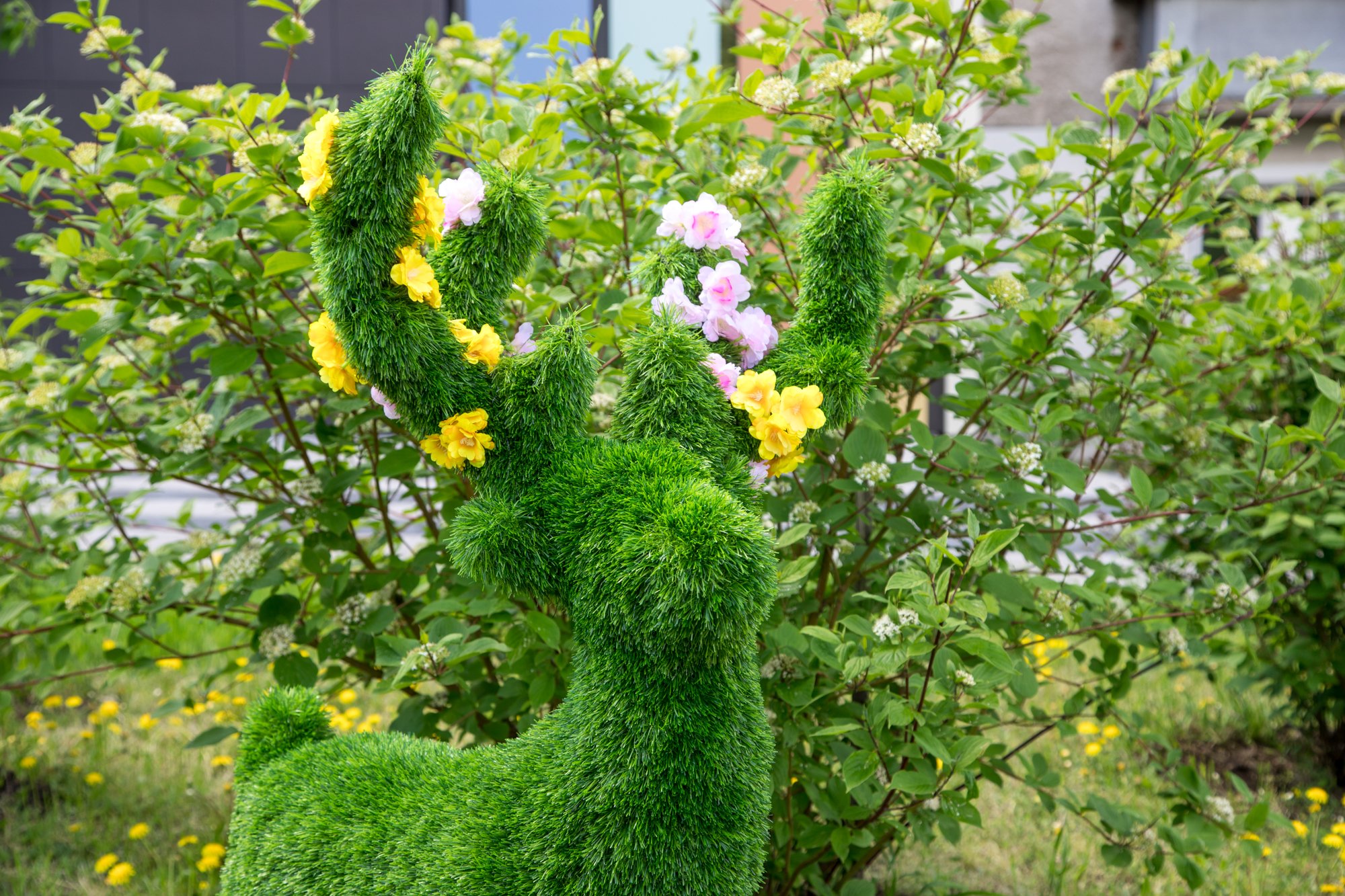 На создание «Города в цвете» заявились 11 участников