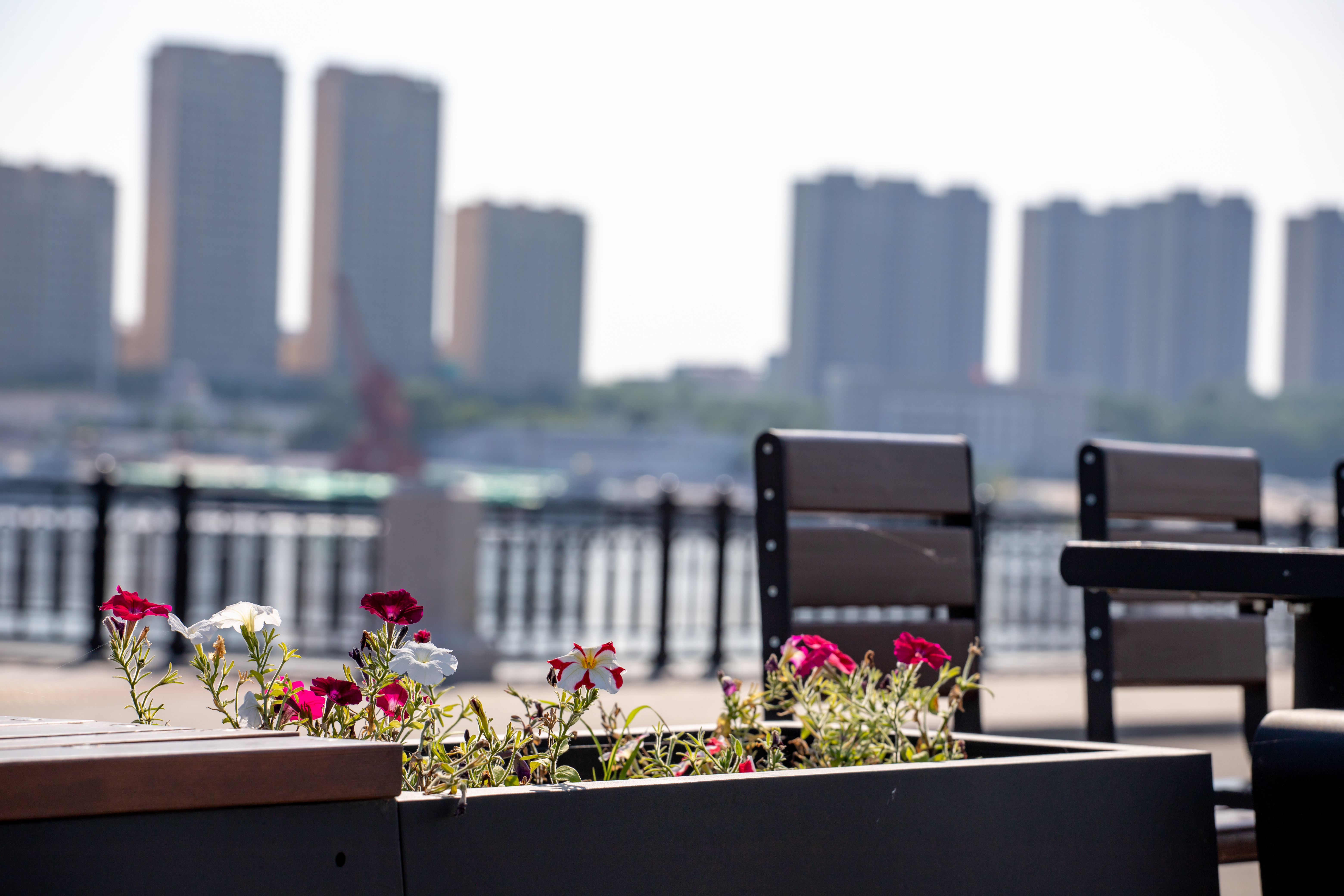 Прогноз погоды в Благовещенске на 2 июля: