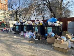 Государственная жилищная инспекция: Горы мусора во дворе: кто виноват и что делать?