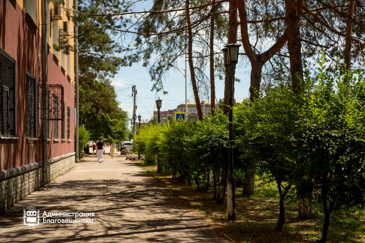 Прогноз погоды в Благовещенске на 15 августа: 