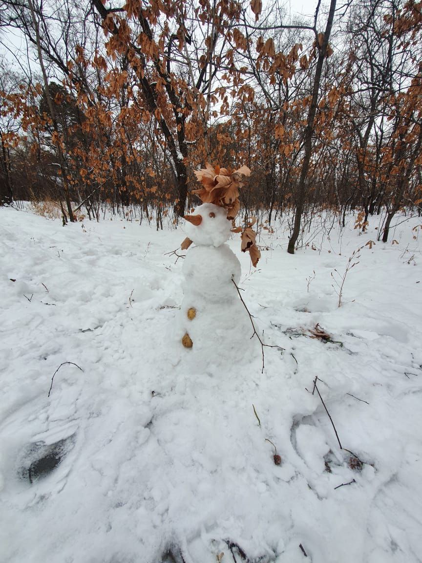 Благовещенских школьников приглашают поучаствовать в конкурсе снежных скульптур