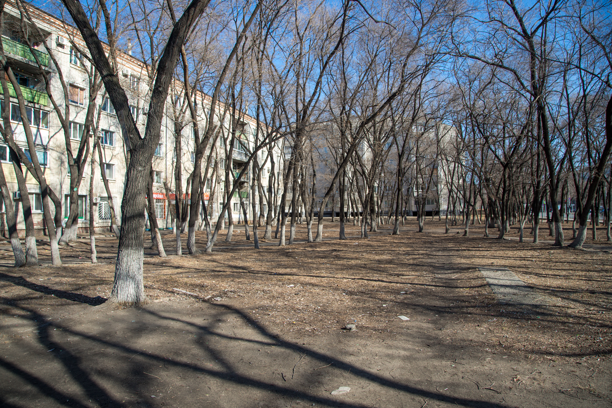 Благовещенская музыкальная школа проголосовала за благоустройство сквера на Калинина – Ломоносова. Почему? 