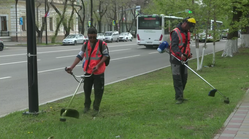 Жители Благовещенска почувствуют запах свежескошенной травы: в областной столице стартовал сезон покоса