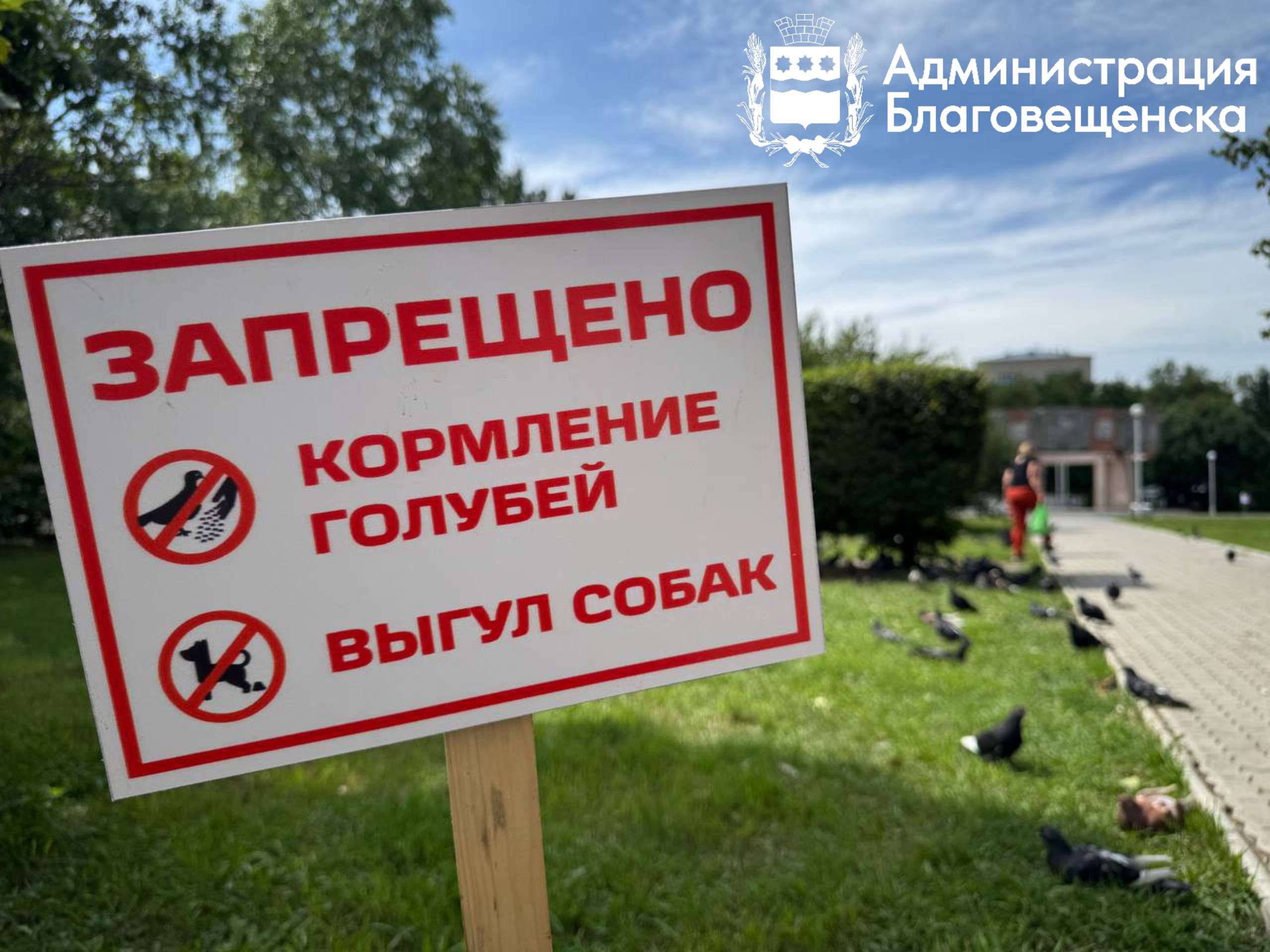 Кормление голубей запрещено: в одном из скверов Благовещенска установили информационные таблички
