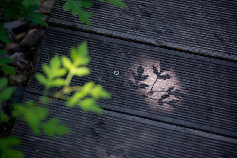 Прогноз погоды в Благовещенске на 16 июня: