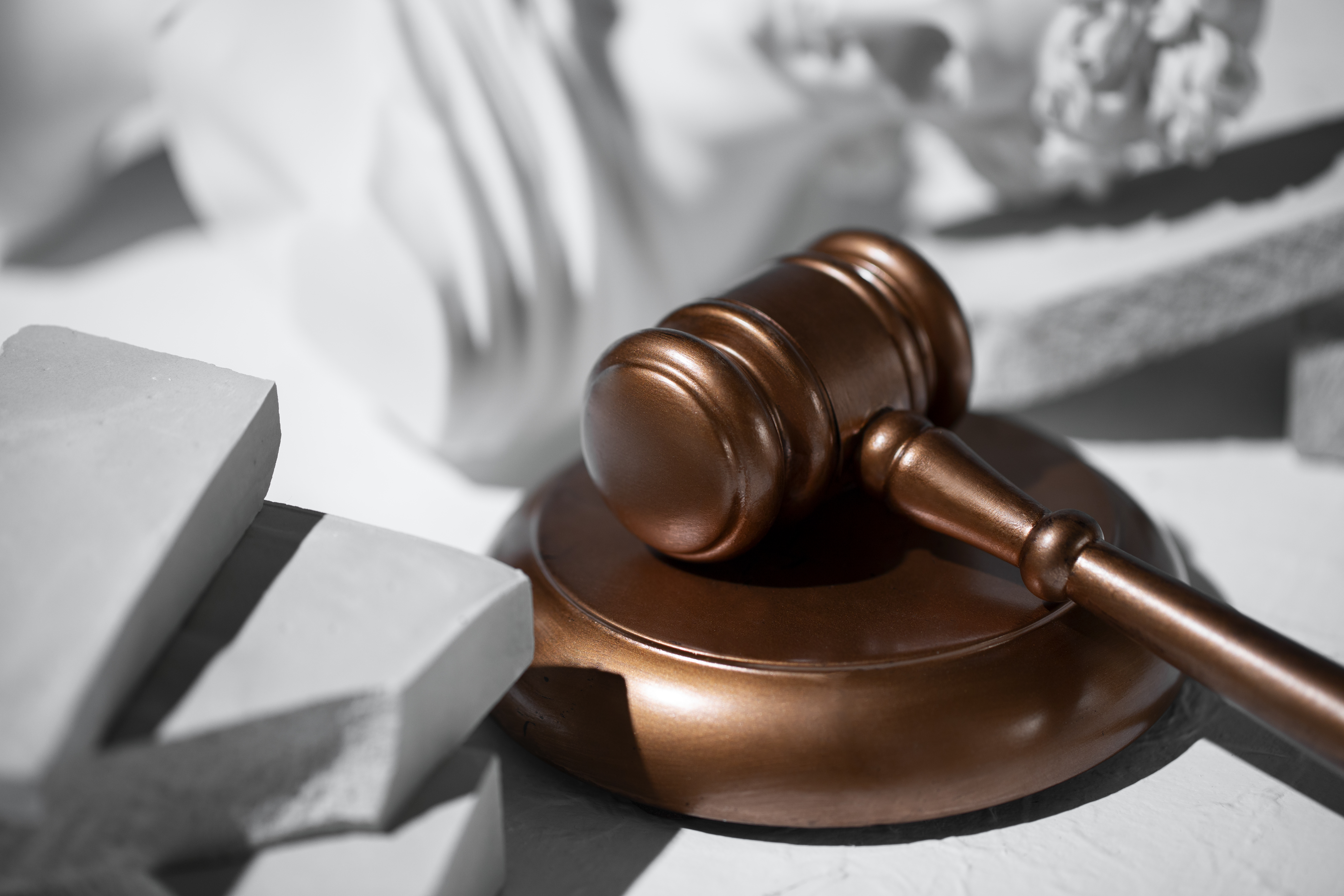 Благовещенцы могут получить бесплатную юридическую помощь. Где и как?