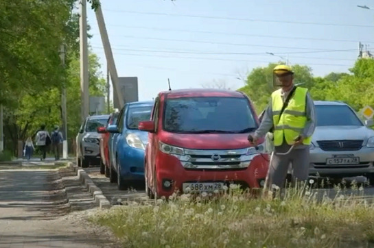 Сократить время покоса травы попросили мэра Олега Имамеева благовещенцы 