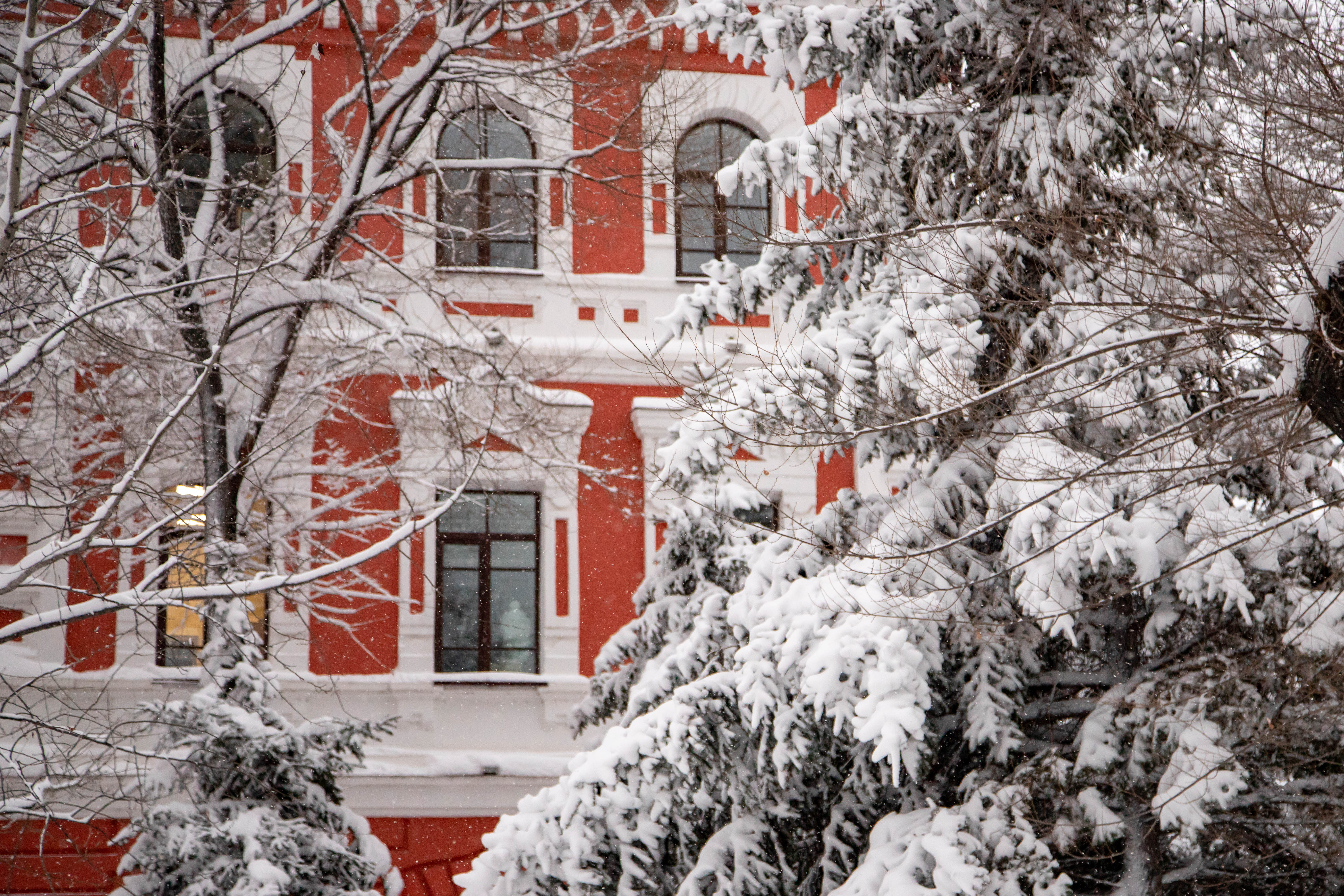  Благовещенские школы переводят на дистанционное обучение