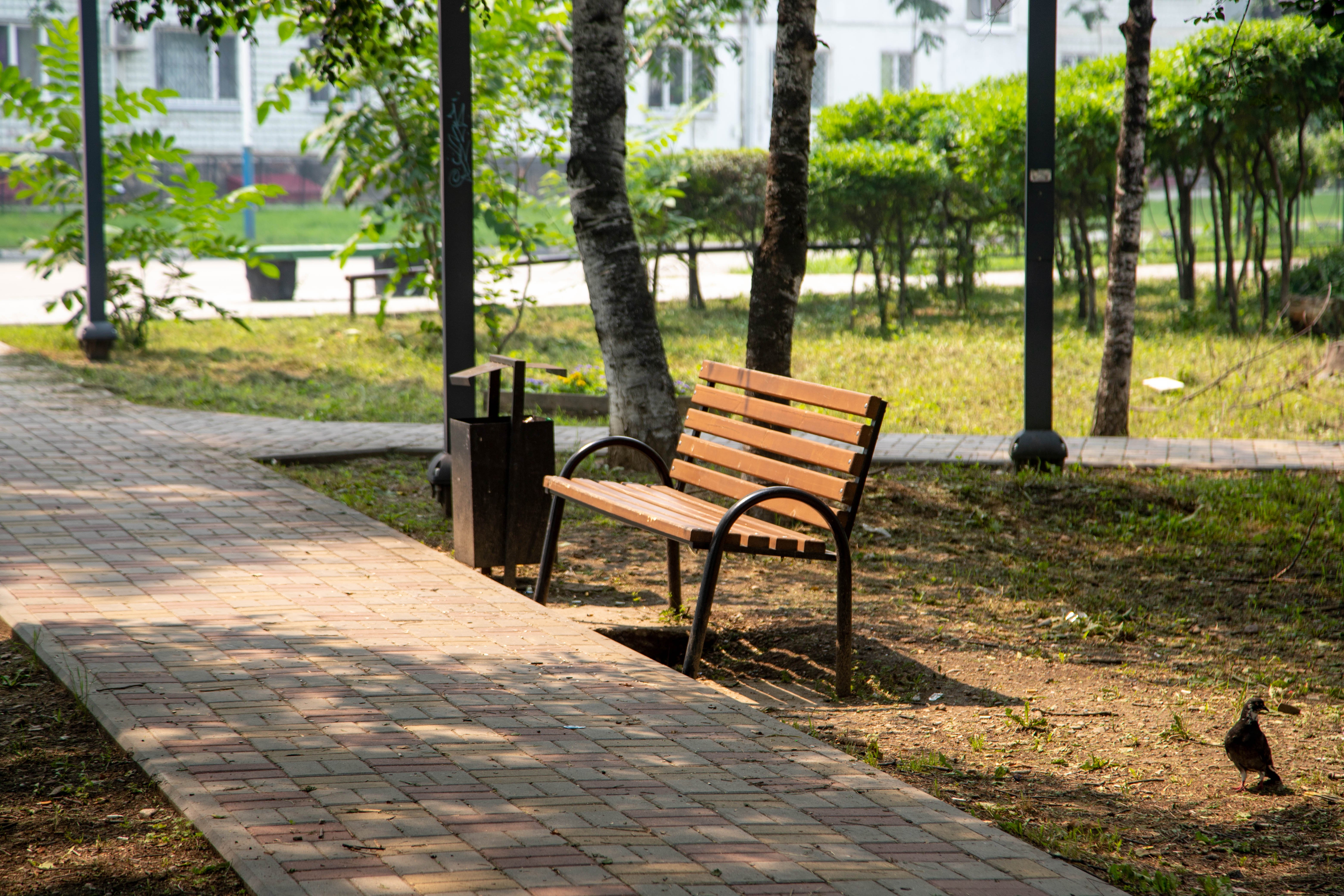 А вы уже проголосовали за благоустройство городского участка?