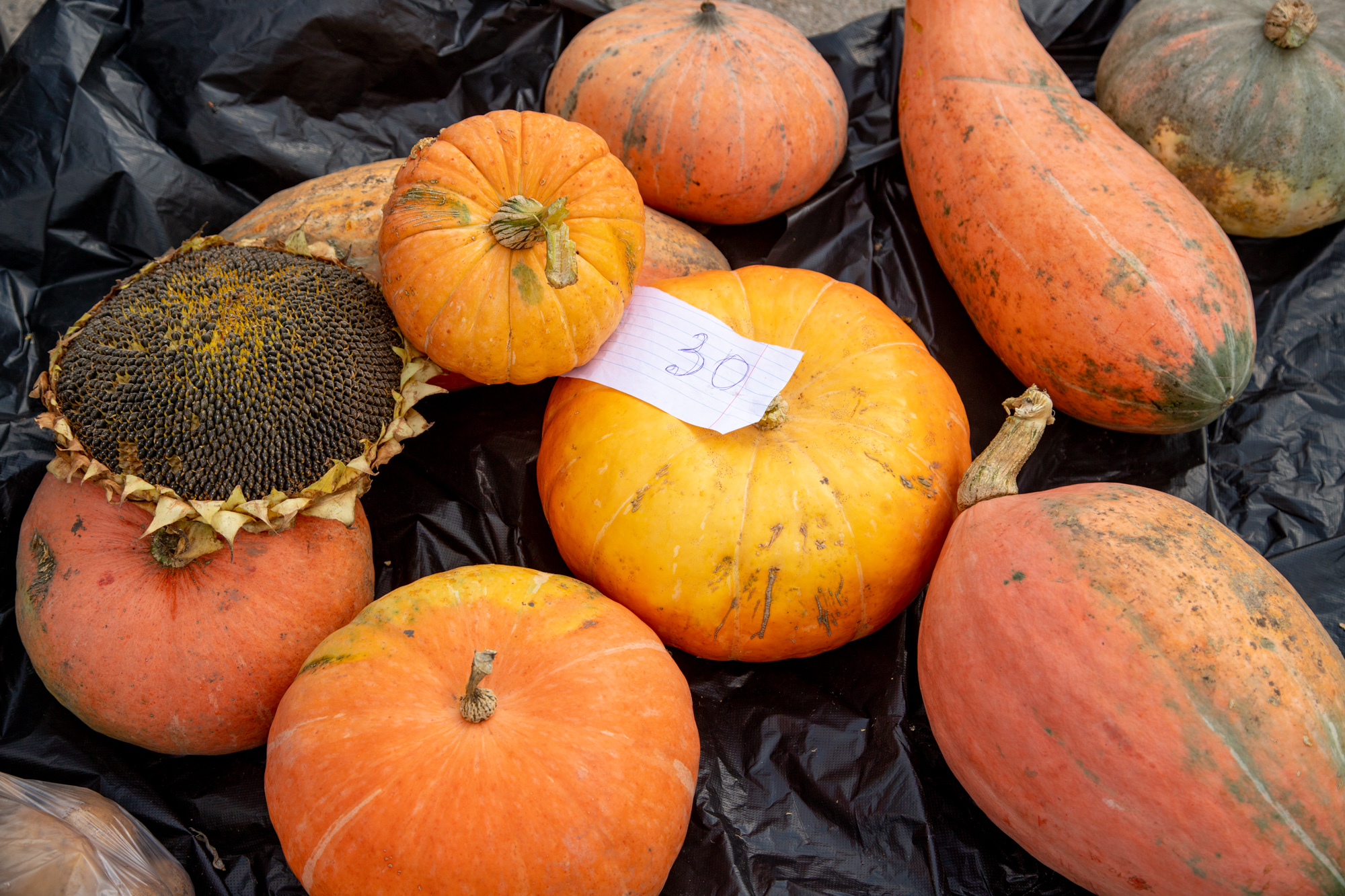 Благовещенцам рассказали, куда обращаться по поводу несанкционированной торговли